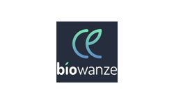 logo site studybel (10)